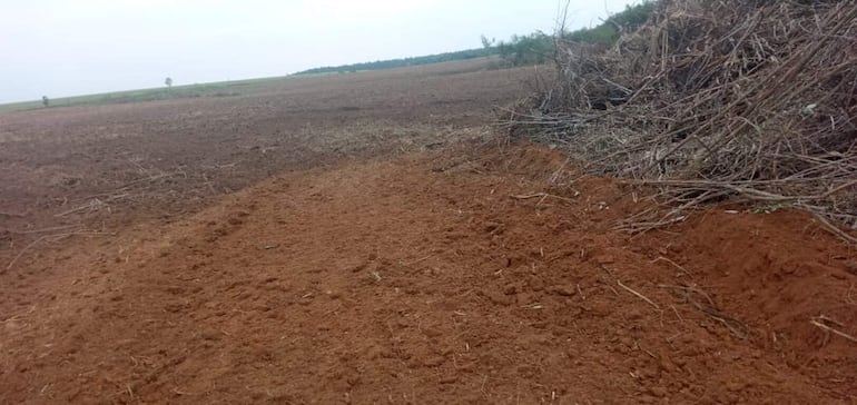 Área donde existía un bosque nativo en la exestancia Golondrina ahora está pelada para establecimiento de cultivos agrícolas, según pobladores dela colonia Santa Teresa.