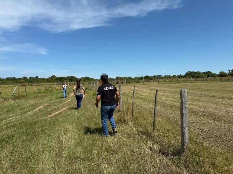 Los intervinientes verificaron la pista clandestina operada por los supuestos traficantes.