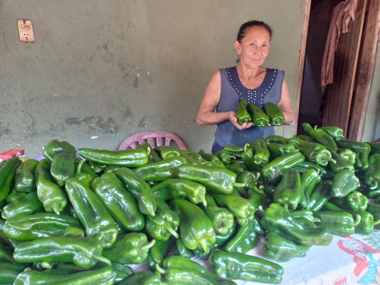 Doña Maria Vicenta Alonso, una de las productoras mostrando la muy buena cosecha de sus locotes y que se estará comercializando en el mercado sanjuanino.