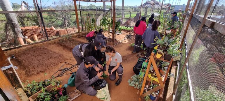 Taller de medioambiente y jardinería que ofrece la escuela Taller para la Gestión del Agua.