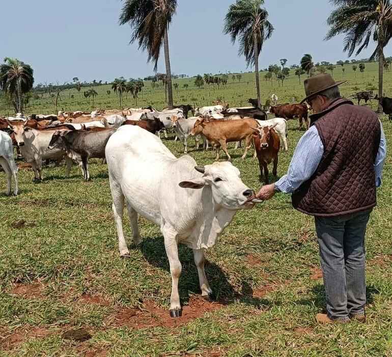 "Estas muestras de cariño son el resultado del bienestar animal y de un manejo amigable a cielo abierto; emociona hasta las lágrimas que los animales se comporten de manera más explicita que la mayoría de los seres humanos", posteó el titular de la ARP, Pedro Galli, en sus redes sociales.