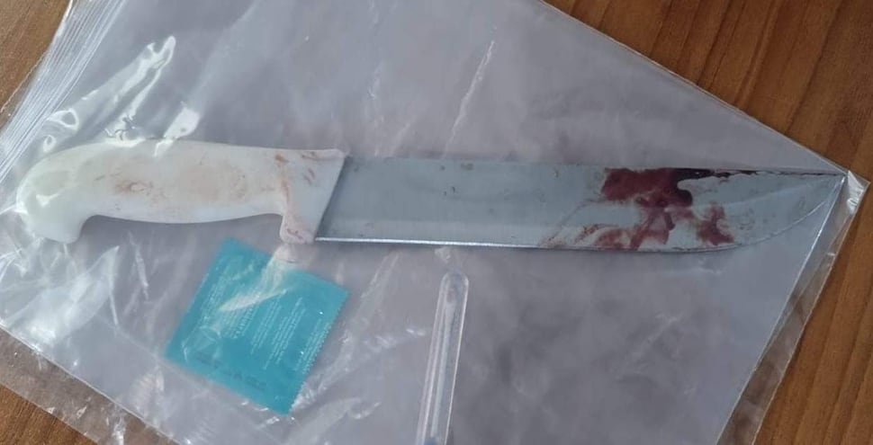 El cuchillo utilizado por la víctima y el preservativo que dejó el agresor.