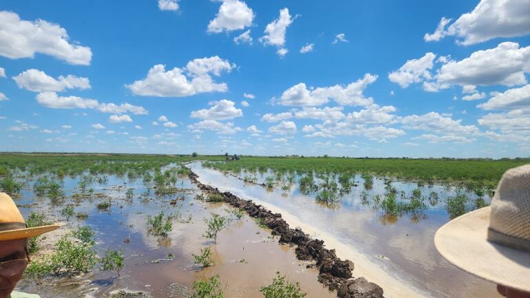 El río Pilcomayo está metiendo aguas bajas en la zona del estero Patiño. Foto gentileza del Dr. Manuel Cardozo.