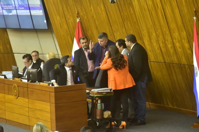 Diputados cartistas debaten acaloradamente durante la sesión. En bloque aprobaron sin modificaciones el proyecto de ley sobre "créditos de carbono".