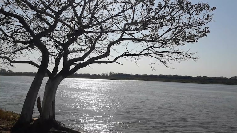 El pantanal en una hermosa postal