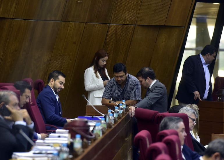 Sesión de la Cámara de Diputados.