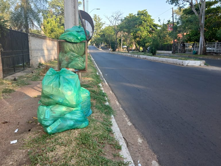 Frente a los domicilios de la calle Luis F, Vache hay varias bolsas de basura sin retirar.