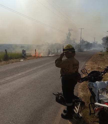 Incendio de pastizales moviliza a bomberos y vecinos en Villeta.