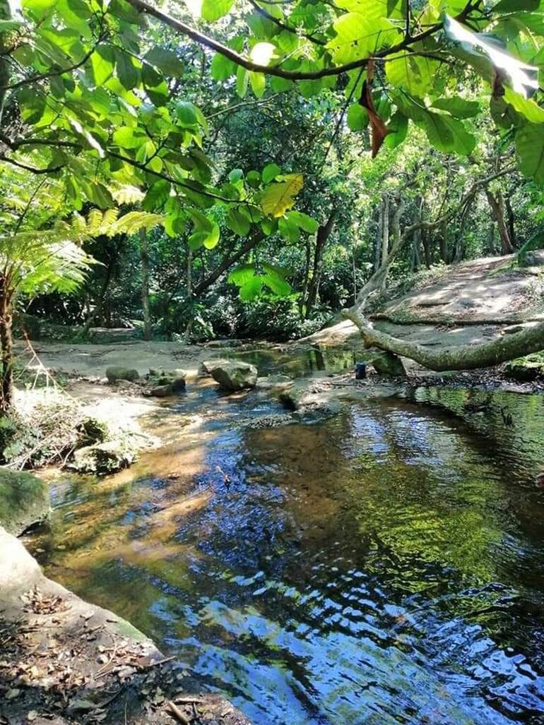 El arroyo Madama, un cauce natural que se encuentra camino al Campamento Cerro León.