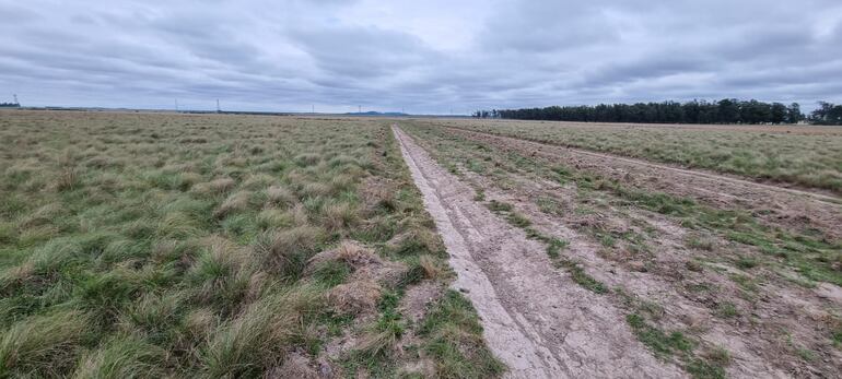 Parte del campo comunal que se quiere lotear en la ciudad de Villa Florida, Misiones.