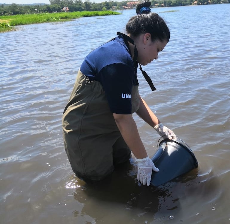 Una investigadora del Cemit toma muestras del lago Ypacaraí, en  San Bernardino.