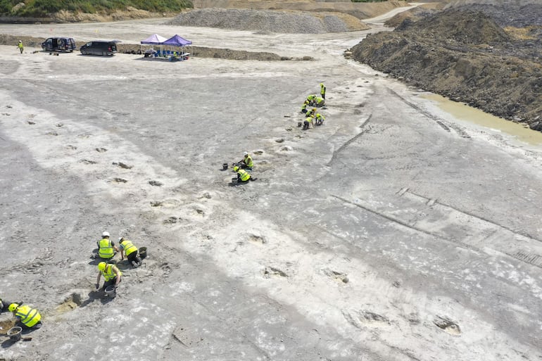  Un grupo de más de 100 investigadores de las Universidades de Oxford y Birmingham ha descubierto el mayor yacimiento de dinosaurios del Reino Unido, con más de 200 huellas que datan del periodo Jurásico Medio, hace 166 millones de años. La excavación, que se llevó a cabo en junio de 2024 en una cantera de Oxfordshire (noroeste de Londres), descubrió cinco extensas huellas de pisadas, con más de 150 metros de longitud en el caso de la más extensa, informó este jueves la Universidad de Birmingham en un comunicado. 