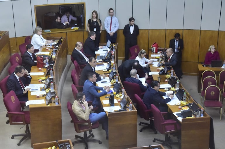 Bancada colorada en la Cámara de Senadores.