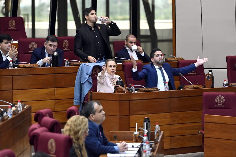 Rocío Vallejo (PPQ) y Raúl Benítez (PEN) reclamaron airadamente los dichos de Rocío Abed (HC).