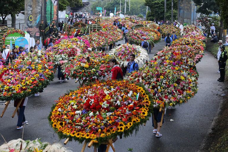 Agricultores llevan arreglos florales conocidos como "silletas" durante el tradicional desfile de Silleteros celebrado como parte del Festival de las Flores en Medellín.