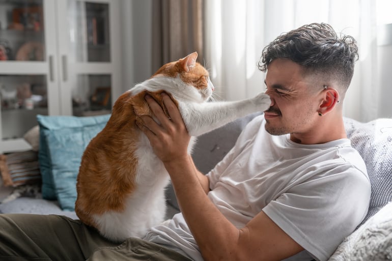 Hombre juega con su gato.