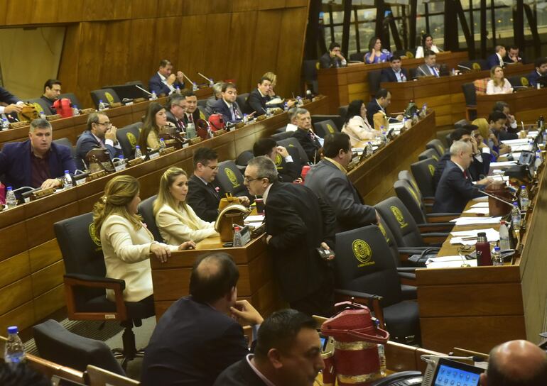 En sesión de Cámara de Diputados de ayer archivaron un controvertido proyecto cuestionado por representantes de pueblos originarios.