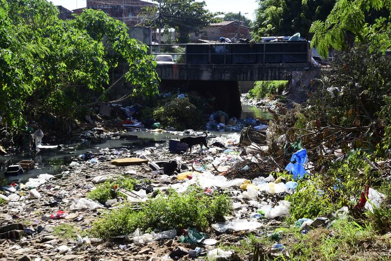 En vertedero clandestino se convirtió el arroyo que cruza bajo el puente Pessoa, en el Bañado Sur.