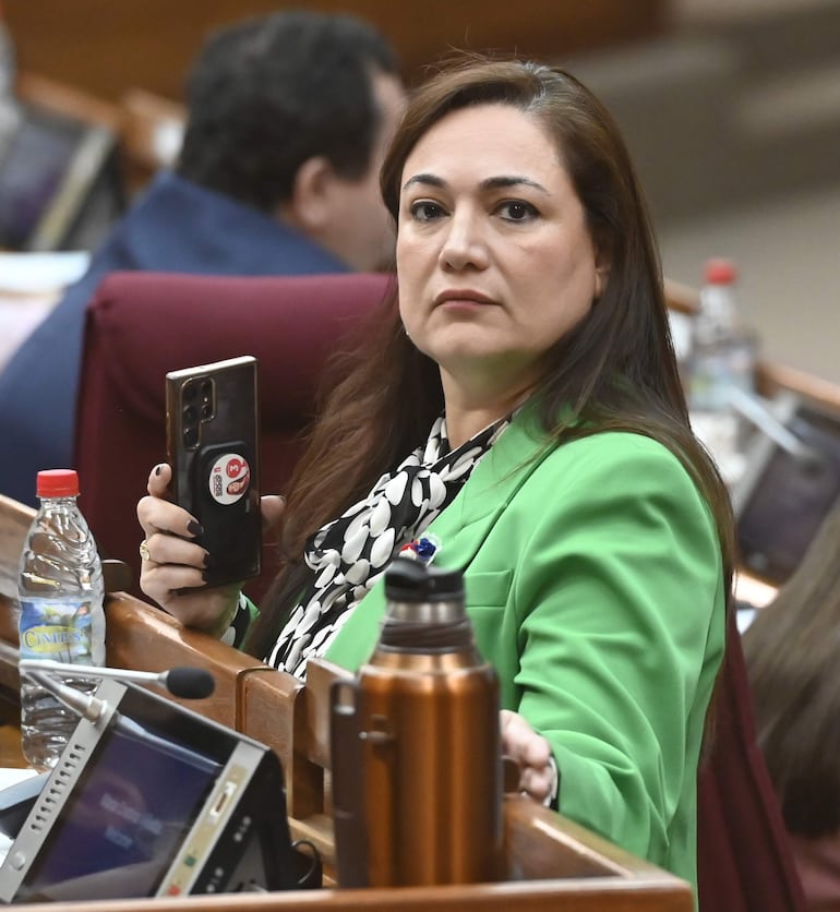 Sesion Extra de Diputado Camara de Diputados

FERNANDO ROMERO 09-05-24 POLITICA. Rocío abed