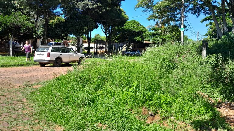 En las localidades de Ñemby y San Antonio proliferan los predios baldíos abandonados y son potenciales criaderos de mosquitos.