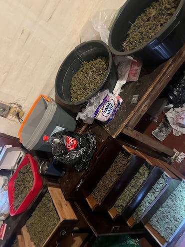 Marihuana VIP incautada en el barrio Santa María de Asunción.