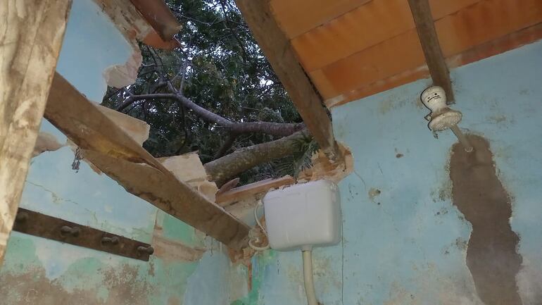 Así quedó parte del techo de la casa sobre la que cayó un árbol.