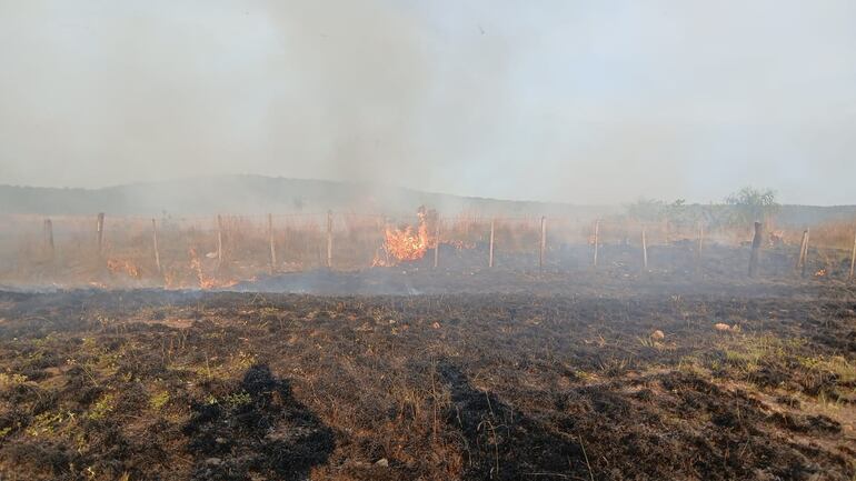 Incendio arrasa con campos en Caapucú.