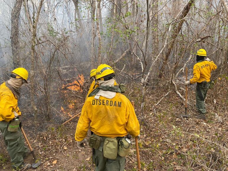 Luego de semanas de intenso combate a los incendios forestales de gran magnitud en Chovoreca, Chaco, el fuego fue sofocado definitivamente.