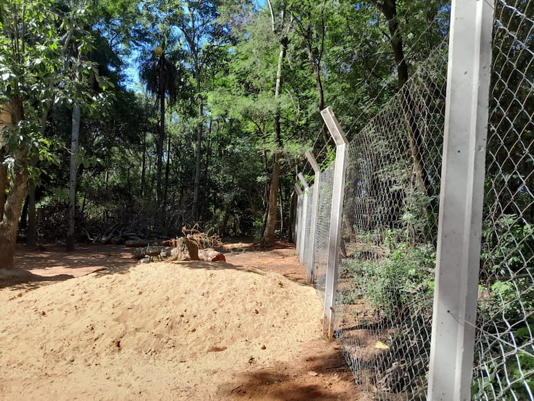 Parte trasera del terreno en conflicto en Luque.