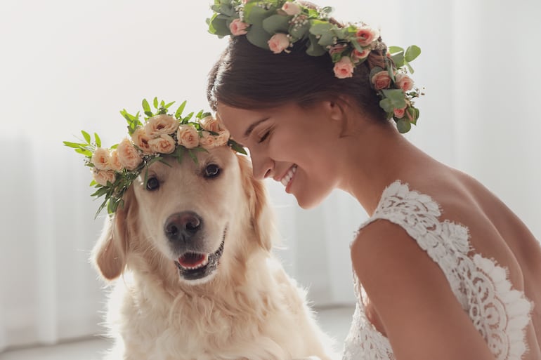 En las bodas los perros también se emperifollan.