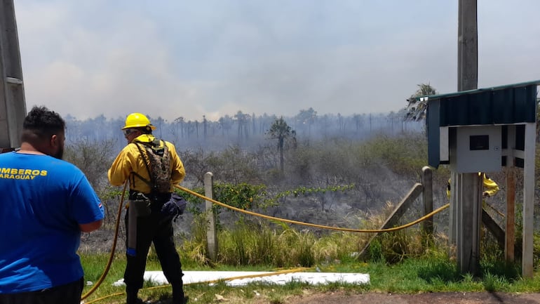 Bomberos intentan sofocar incendio forestal de gran magnitud en ruta "Luque-San Ber".