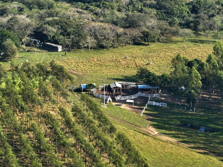 Los intervinientes de la granja de criptominería aseguraron que en la estancia se constató la existencia de conexiones clandestinas al sistema de la ANDE.  