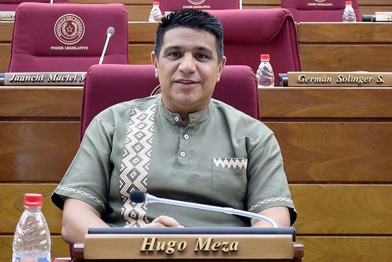 Diputado Hugo Meza.