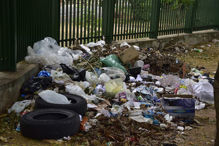 Basura acumulada frente al Parque Caballero. La limpieza que implementa la Municipalidad es selectiva.