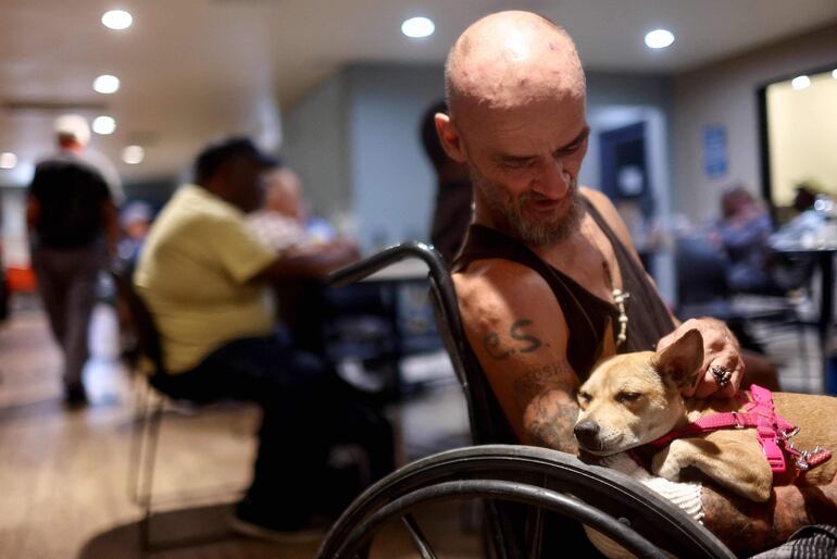 Un estudio de la Universidad de York (Reino Unido) sugiere que los animales de compañía, incluidos perros, gatos, peces y pájaros, no benefician significativamente la salud emocional de las personas con enfermedades mentales graves.