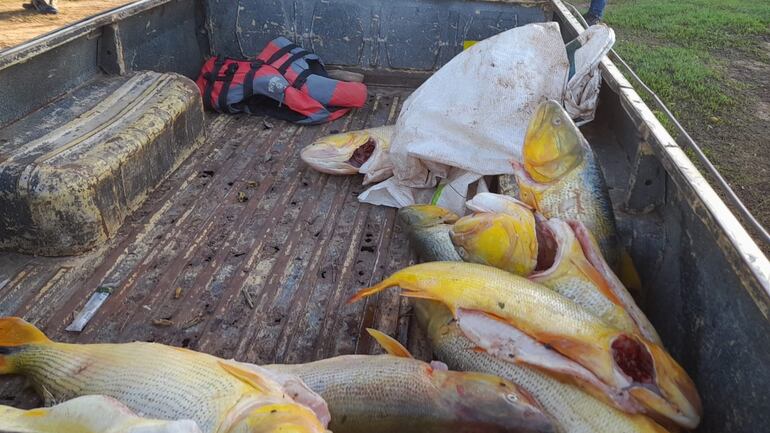 También el turismo asociado a la pesca representa una parte importante de la economía.