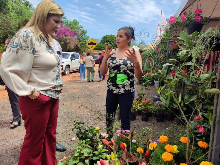 Cada año más de 30 expositores se ubican sobre la avenida Gaudioso Núñez para comercializas sus flores.