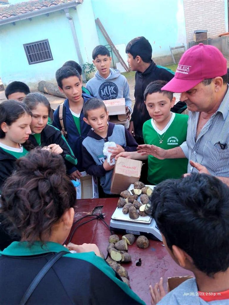 Los estudiantes se capacitaron sobre corte, curado y sembrado de la papa.