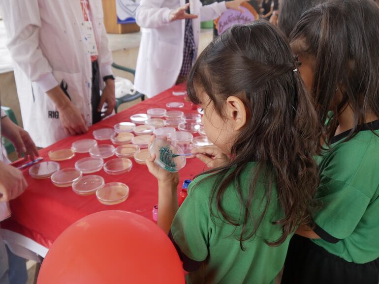 Niña experimenta con los elementos que envió el Cemit para analizar microorganismos.