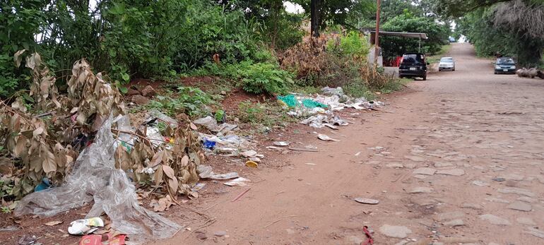 En los barrios no llegan con normalidad los recolectores de basura y se genera este tipo de paisaje.