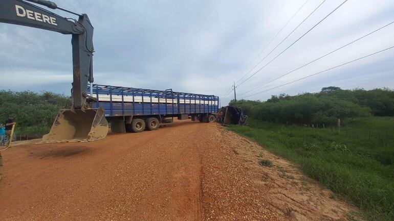 Con un tractor enderezan el camión que tumbó en medio de la ruta con los 50 animales a bordo.