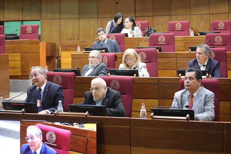 Representantes de varias ONG en la comisión de Legislación cuestionaron el proyecto de ley que busca controlarlas.