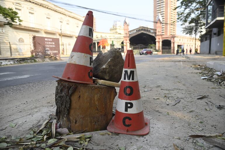 Gran agujero, tapado hasta con un árbol, en medio de la calle, frente a la estación del ferrocarril, centro histórico de Asunción.