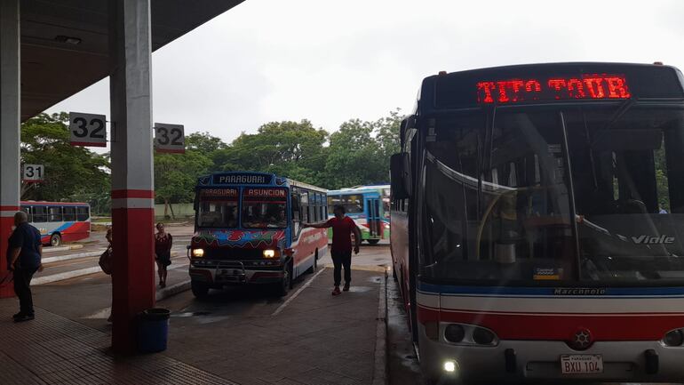 Colectivos listos para salir, en la Estación de Buses de Asunción, en la víspera de las festividades de Caacupé.