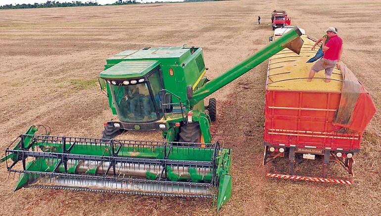 La dinámica exportadora de commodities, como la soja, de A. Latina no fue uniforme en los últimos tiempos.