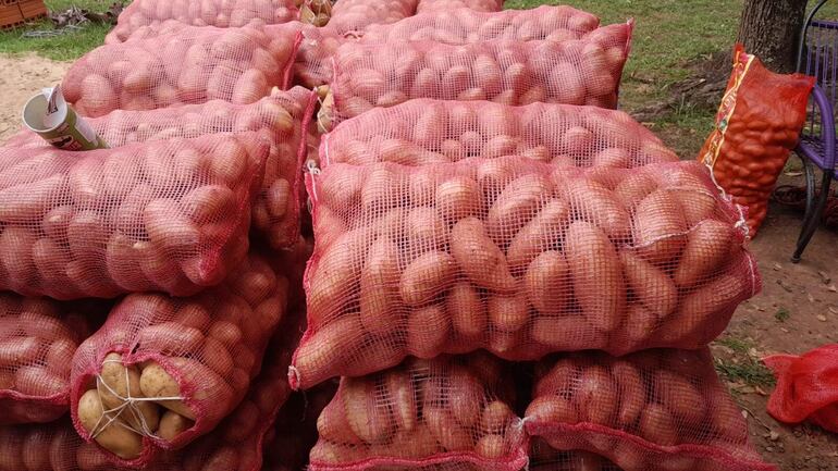 Bolsas de papa esperando ser transportadas a los mercados de venta.