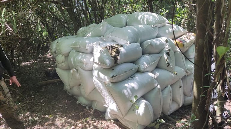 10.000 kilos de marihuana picada fueron incautados durante el operativo.