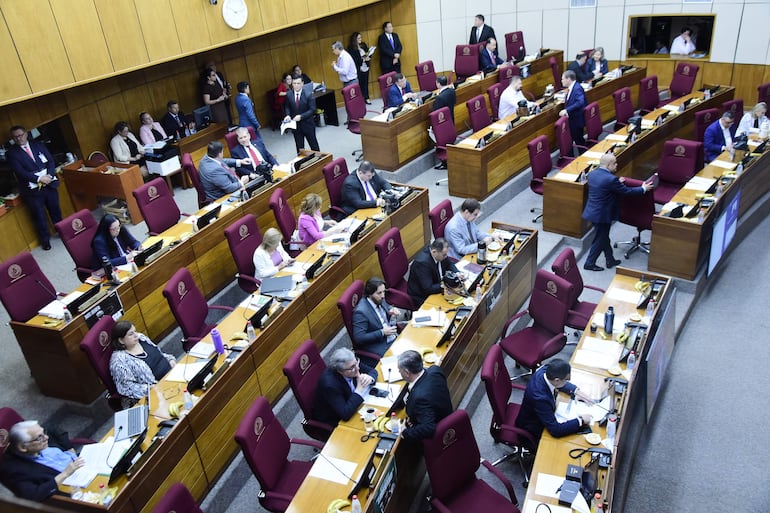 Miembros de la Cámara de Senadores durante una sesión.