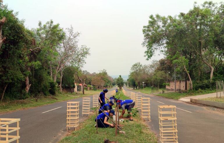 Varios voluntarios participaron de la jornada de plantación.