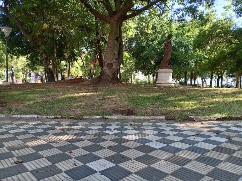 Asunción de Nenecho: limpian plazas, pero se olvidan del microcentro